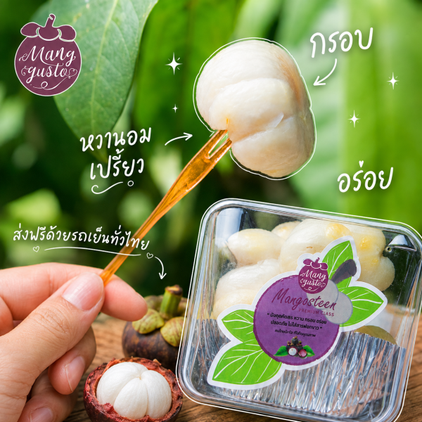 ชี้เป้า! มังคุดคัดพรีเมียม 